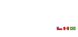 Cynersis - Logo Blanco