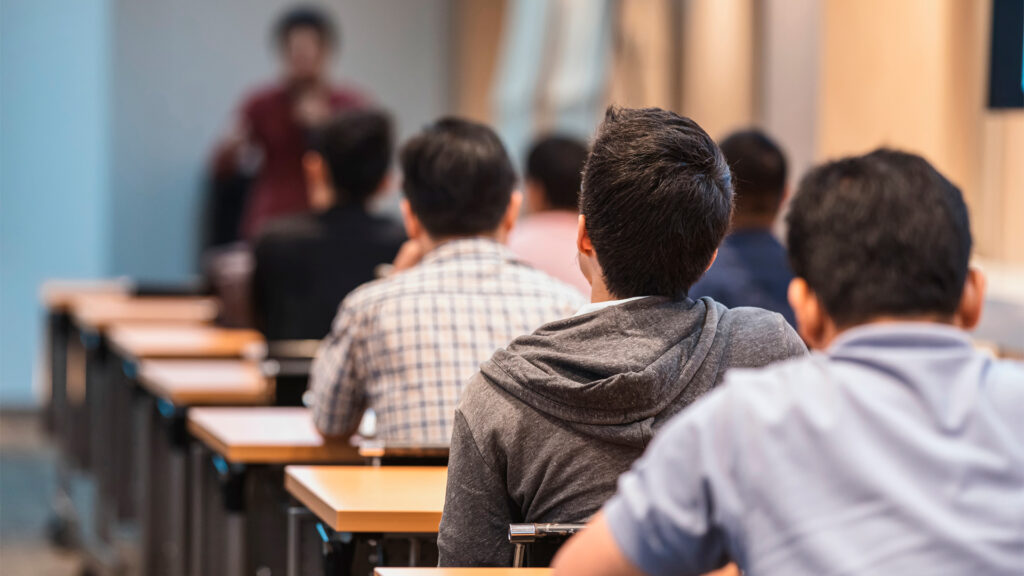 Cynersis - Educacion